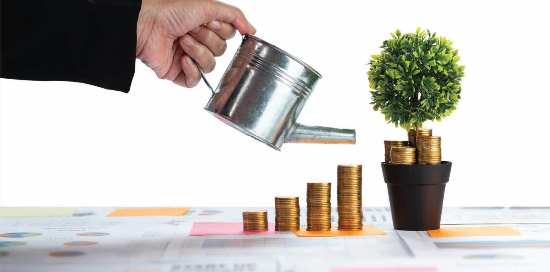 كائز الاستدامة المالية في الشركات: تنويع الدخل، كفاءة الموارد، وإدارة المخاطر.