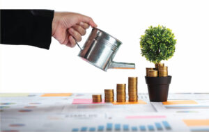 كائز الاستدامة المالية في الشركات: تنويع الدخل، كفاءة الموارد، وإدارة المخاطر.