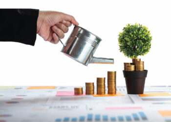 كائز الاستدامة المالية في الشركات: تنويع الدخل، كفاءة الموارد، وإدارة المخاطر.