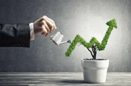 خطط الاستدامة المالية ودعم التحول المؤسسي في السعودية