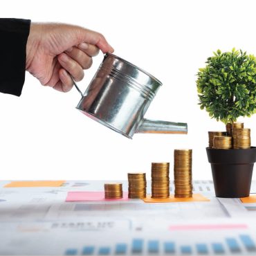 كائز الاستدامة المالية في الشركات: تنويع الدخل، كفاءة الموارد، وإدارة المخاطر.